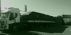 TPEX 3